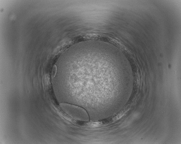 X0000069410711200605192304