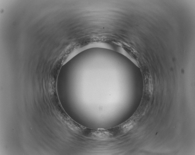 X0000069410712200605192304