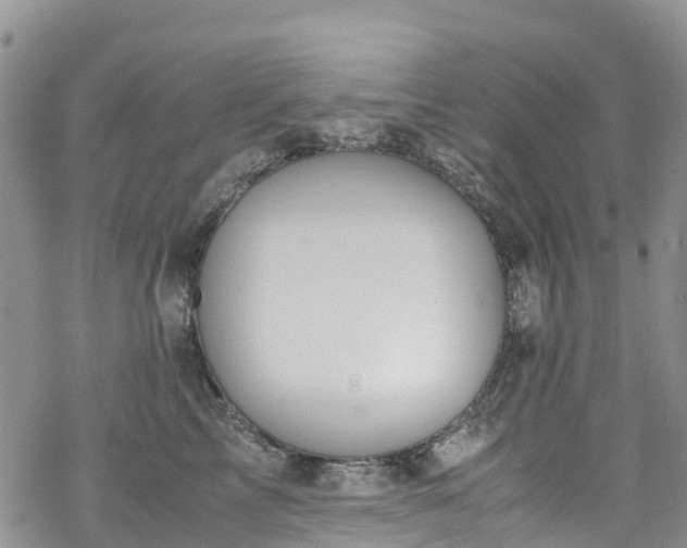 X0000069410713200605192304