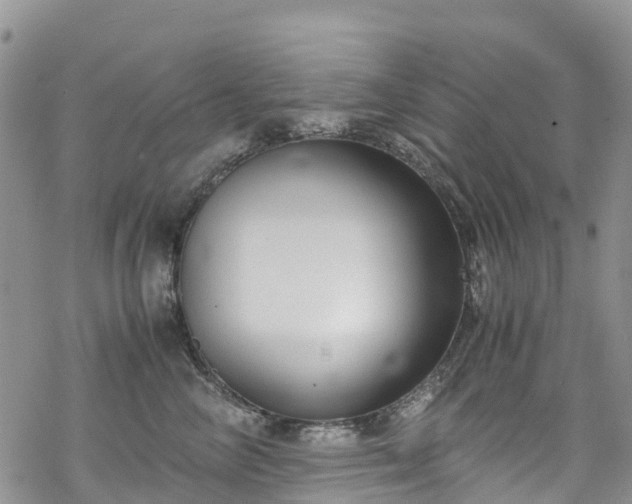 X0000069410714200605192304