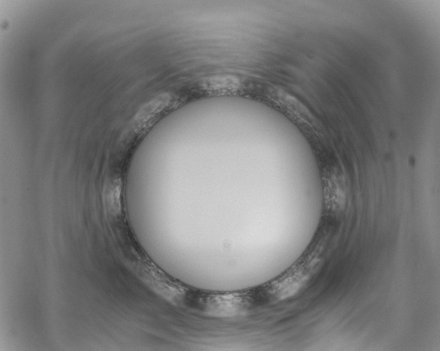 X0000069410717200605192304