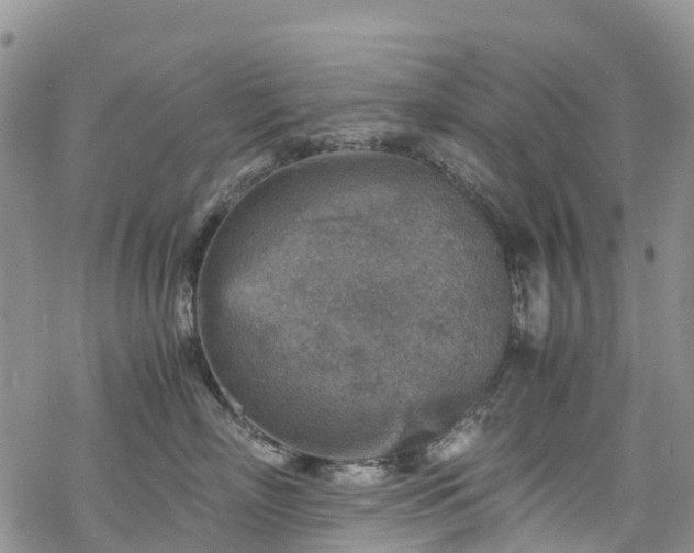 X0000069410718200605192304