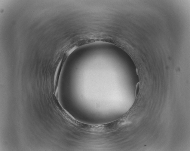 X0000069410720200605192304