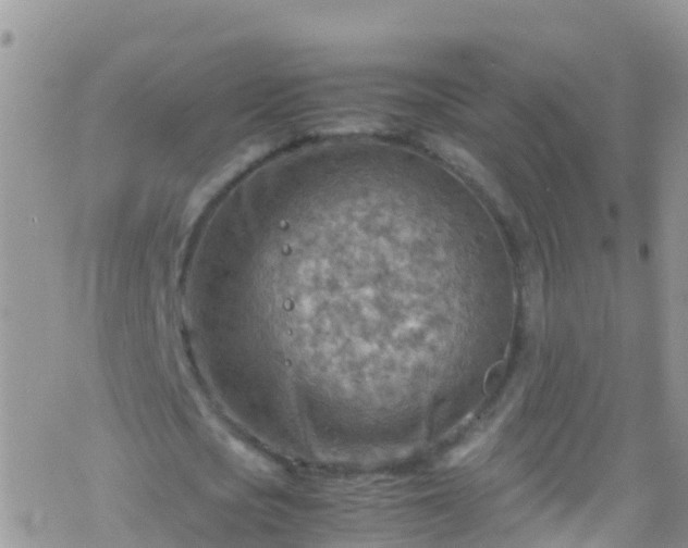 X0000069410721200605192303