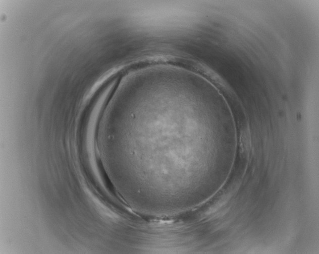 X0000069410722200605192303