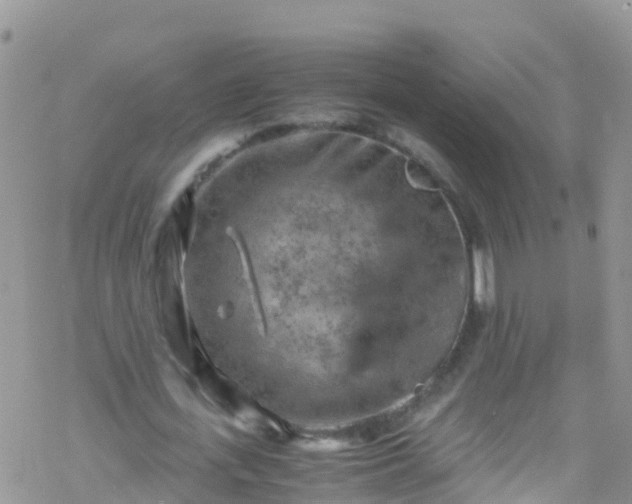 X0000069410723200605192303