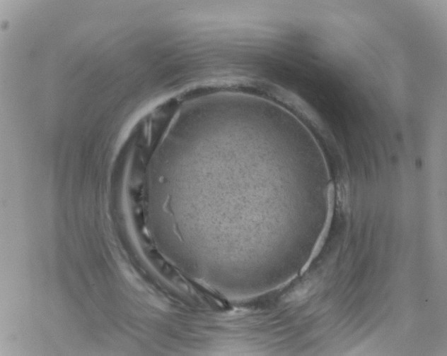 X0000069410724200605192303