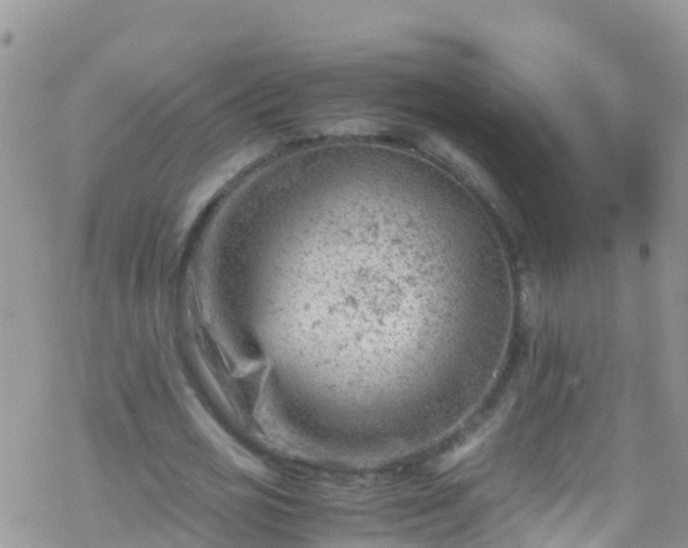 X0000069410725200605192303