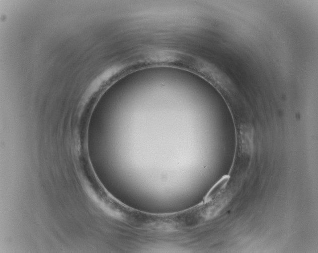 X0000069410726200605192303