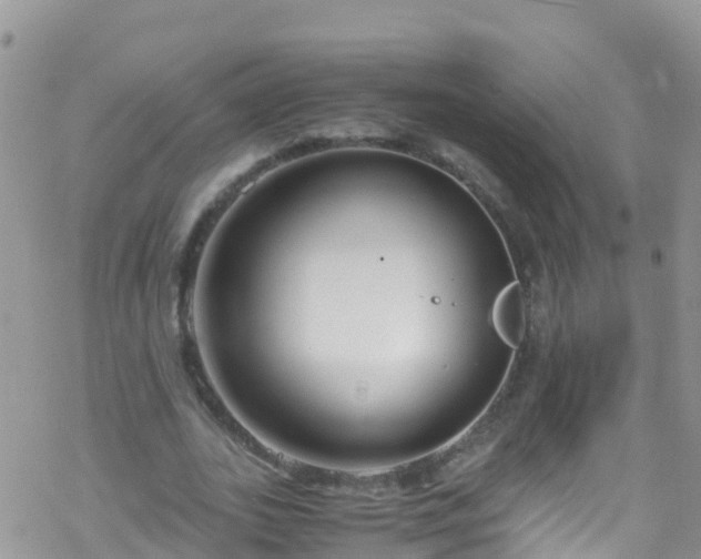 X0000069410727200605192303