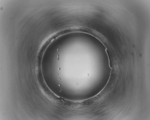 X0000069410728200605192303