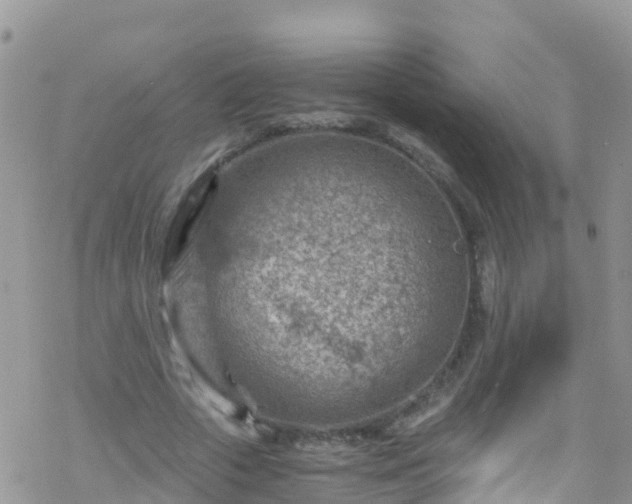 X0000069410729200605192303