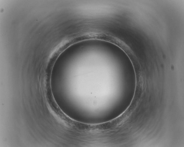 X0000069410730200605192303