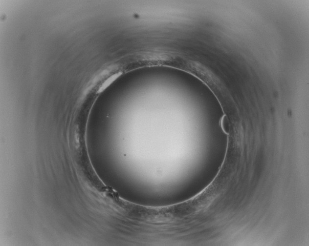 X0000069410731200605192303