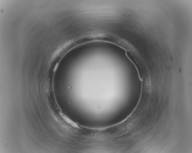 X0000069410732200605192303