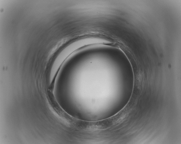 X0000069410734200605192303