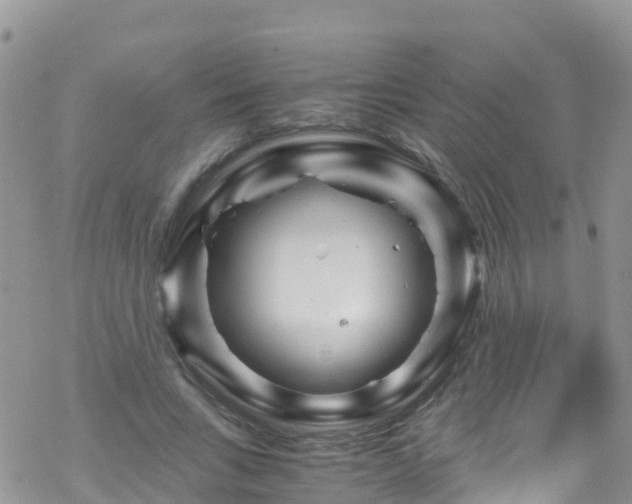 X0000069410735200605192303