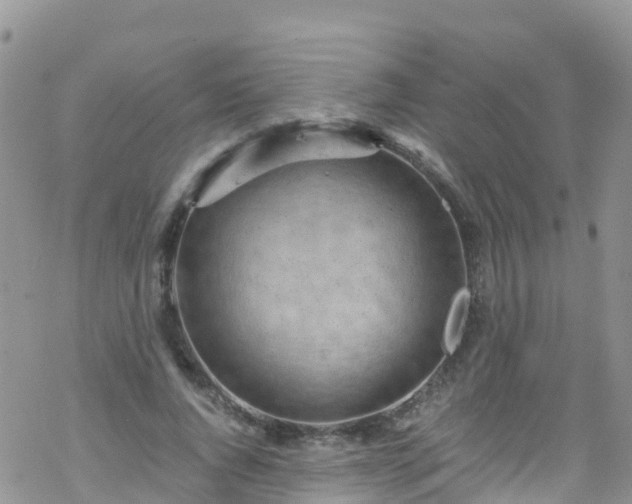 X0000069410736200605192303