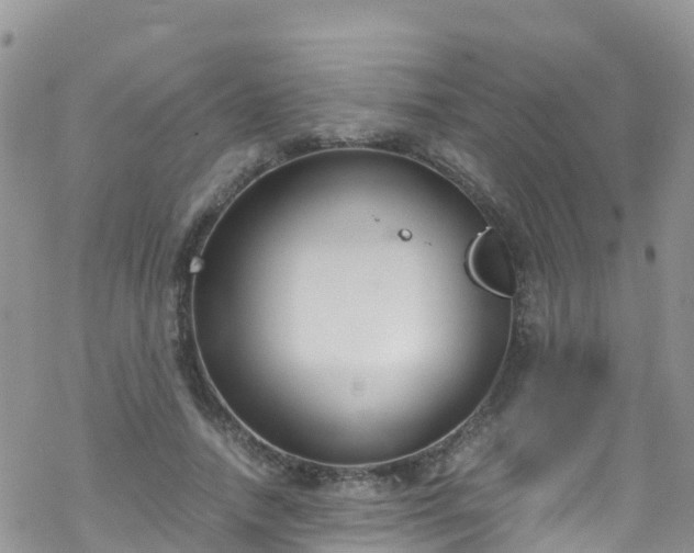 X0000069410738200605192303