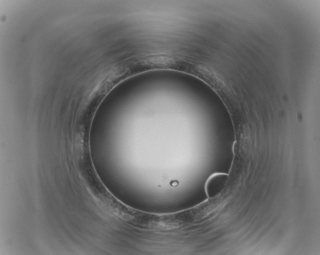 X0000069410739200605192303