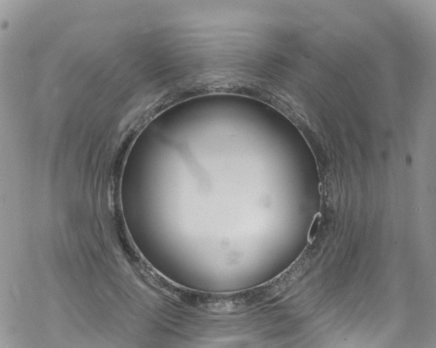 X0000069410740200605192303