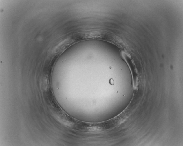 X0000069410741200605192303