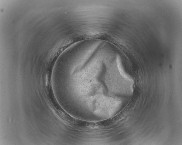 X0000069410742200605192303