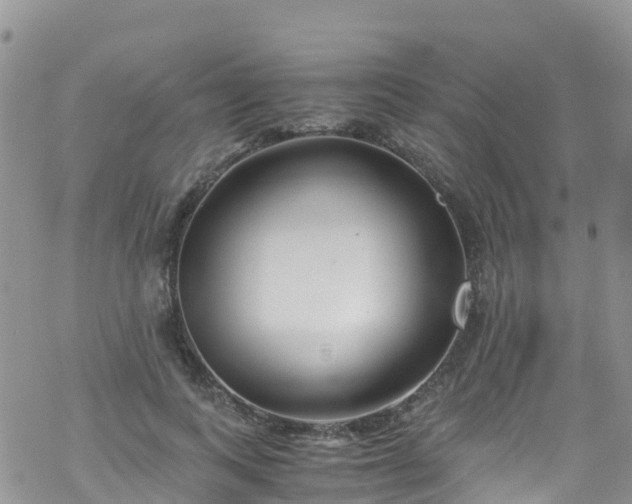 X0000069410743200605192303