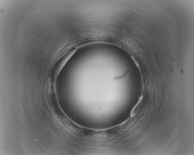 X0000069410744200605192303