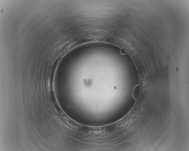 X0000069410745200605192303