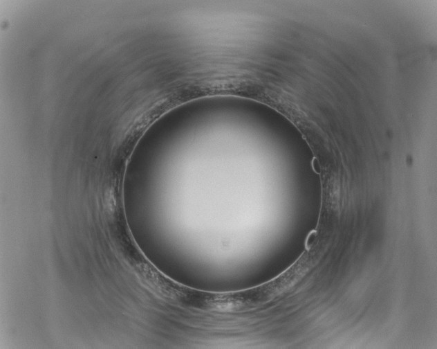 X0000069410746200605192303