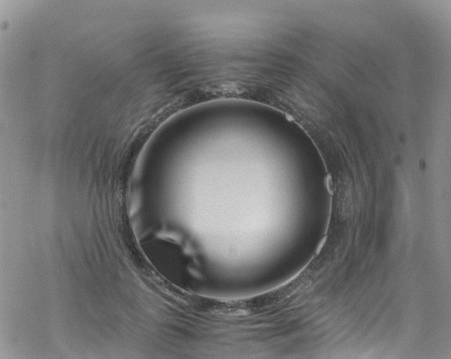 X0000069410747200605192303