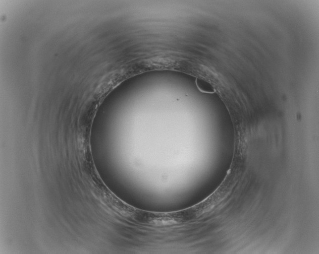 X0000069410749200605192303