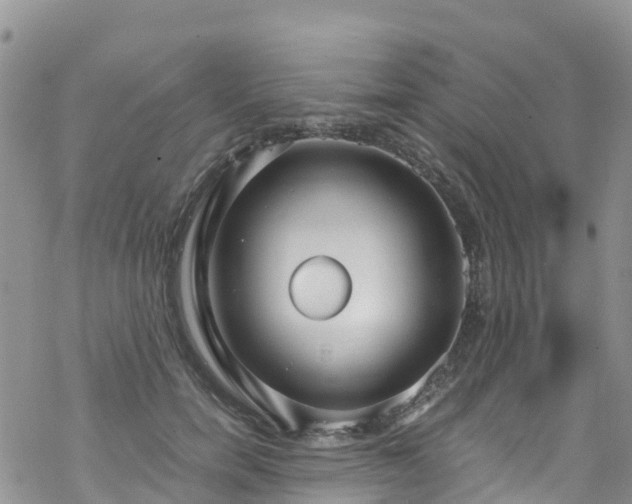 X0000069410750200605192303