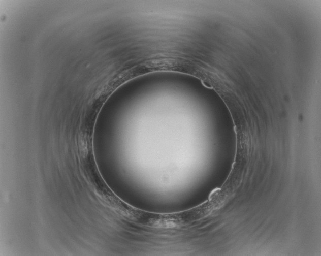 X0000069410751200605192303