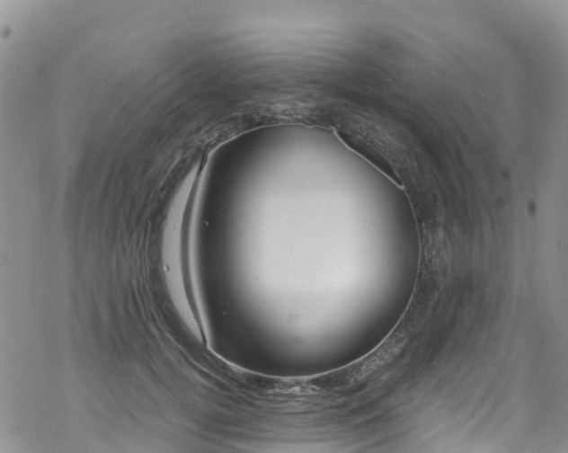 X0000069410752200605192303