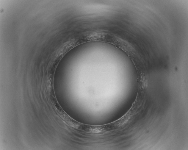 X0000069410753200605192303