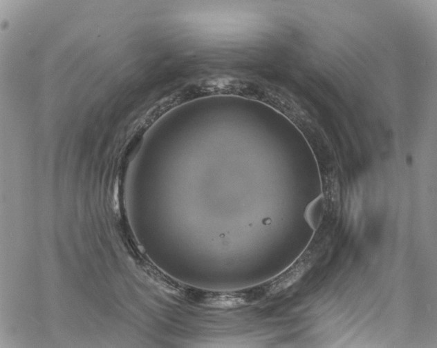 X0000069410754200605192303