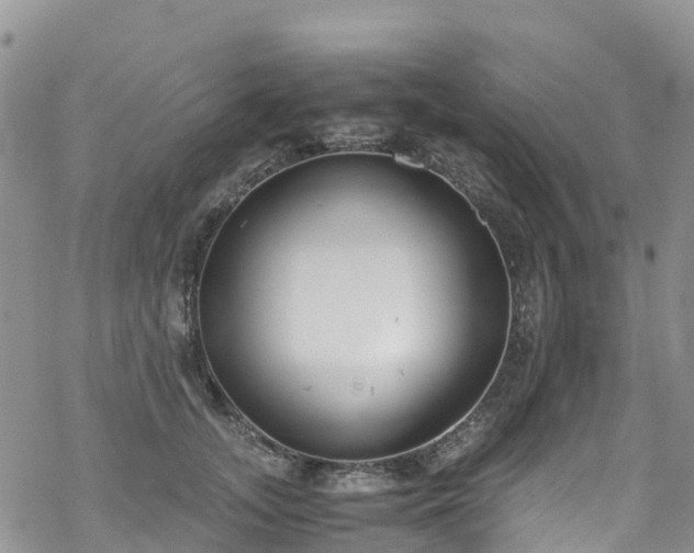 X0000069410755200605192303