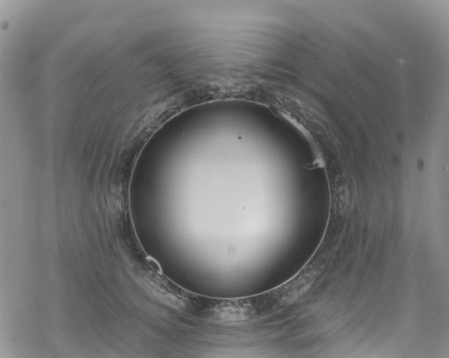 X0000069410756200605192304