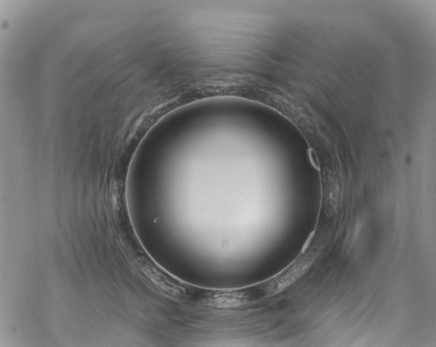 X0000069410758200605192304