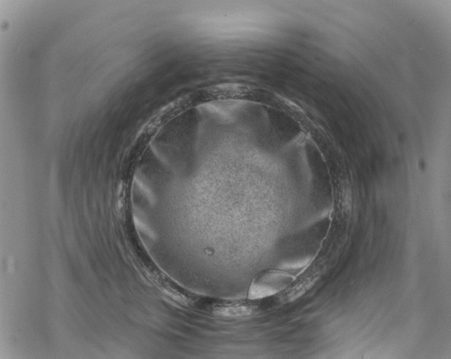 X0000069410759200605192304