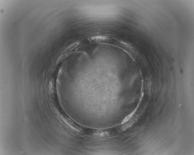 X0000069410760200605192304