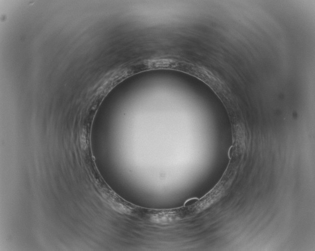 X0000069410761200605192304