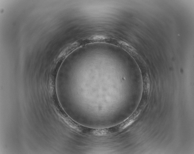 X0000069410762200605192304