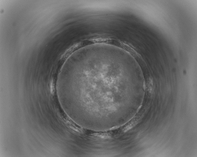 X0000069410763200605192304