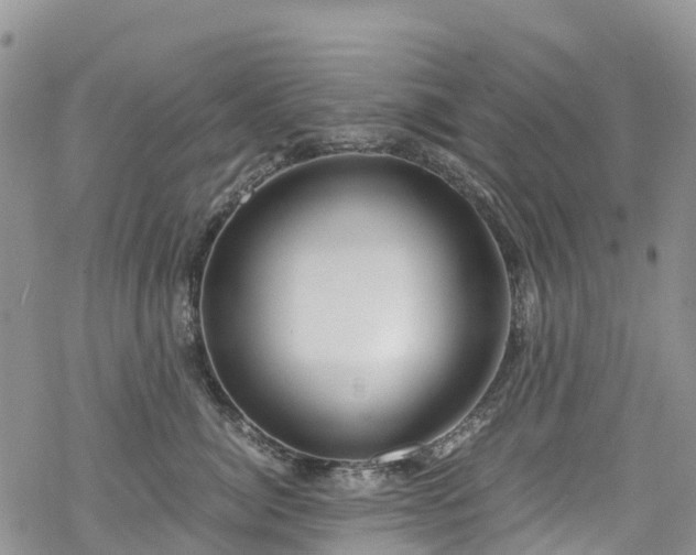 X0000069410764200605192304