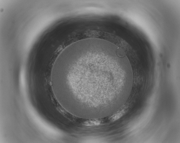 X0000069410765200605192304