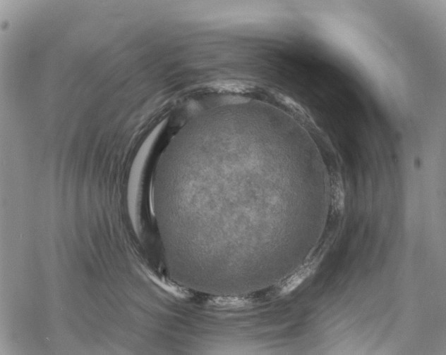 X0000069410766200605192304