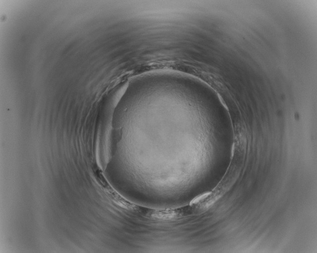 X0000069410767200605192304